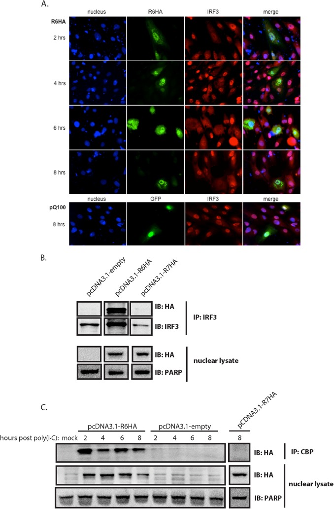 FIG 2