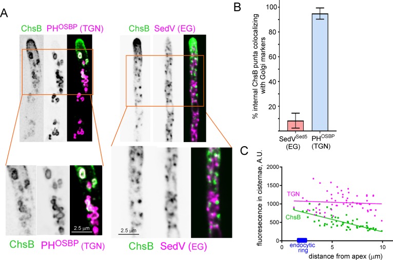 Fig 4