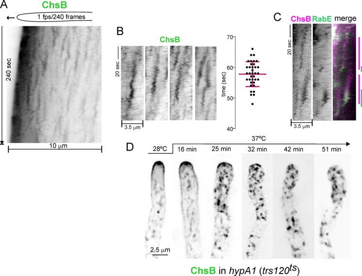 Fig 6