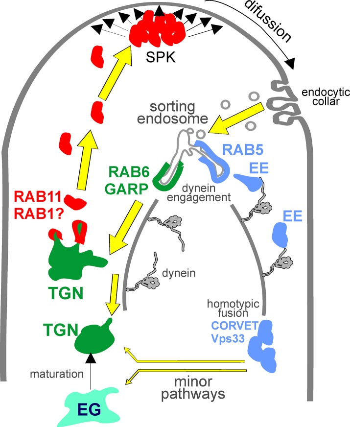 Fig 12