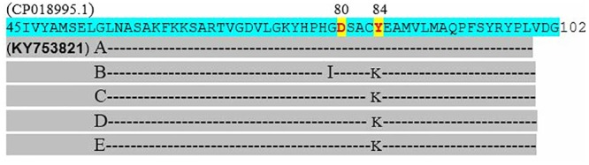 Fig 6