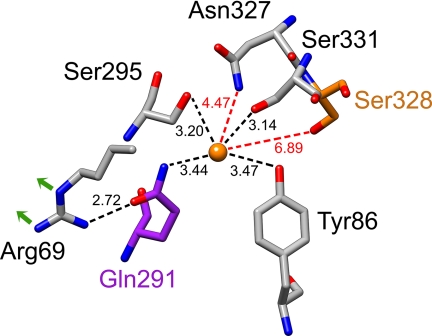 FIGURE 1.