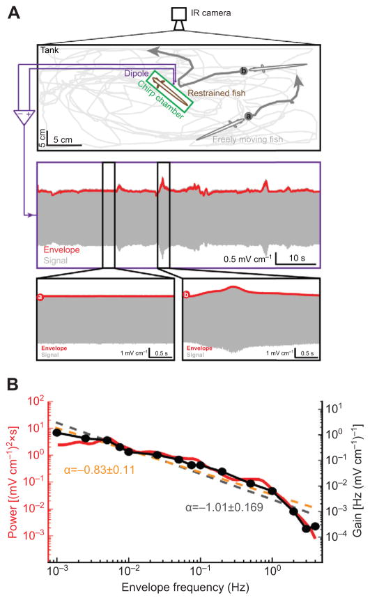 Fig. 8