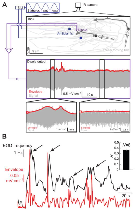 Fig. 7