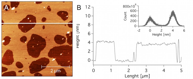 Fig 6