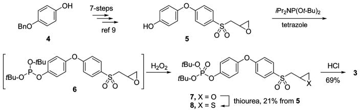 Scheme 1