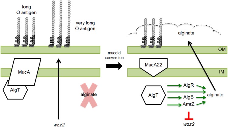 FIG 8