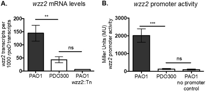 FIG 3