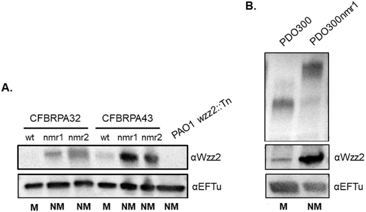 FIG 4