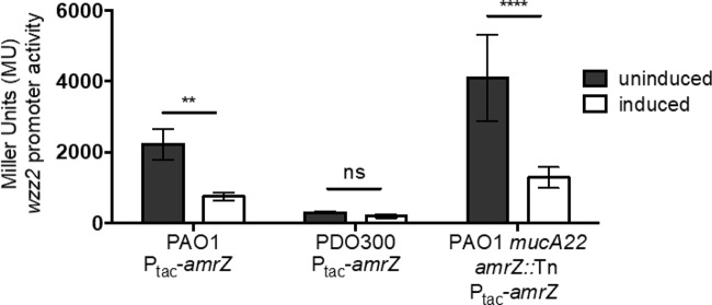 FIG 6