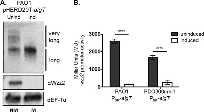 FIG 5