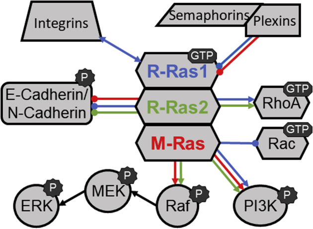 Figure 3