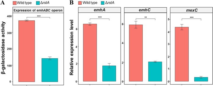 FIG 2