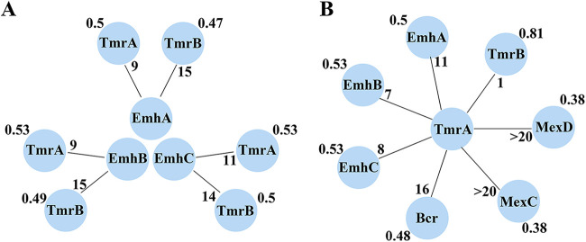 FIG 1