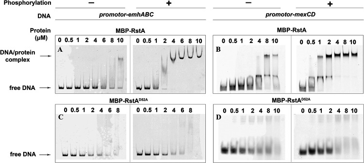 FIG 3