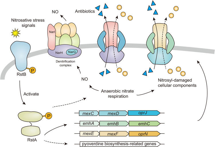 FIG 6