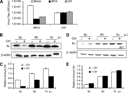 FIG. 1.