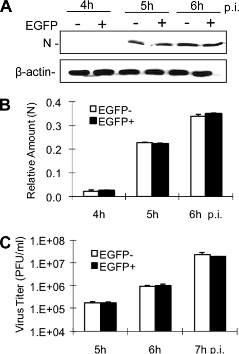 FIG. 8.