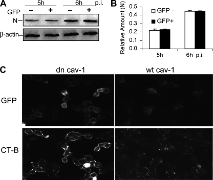 FIG. 6.