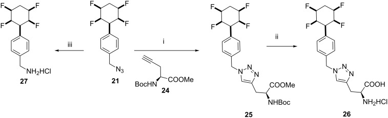 Scheme 5