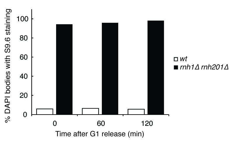 Figure 1—figure supplement 3.