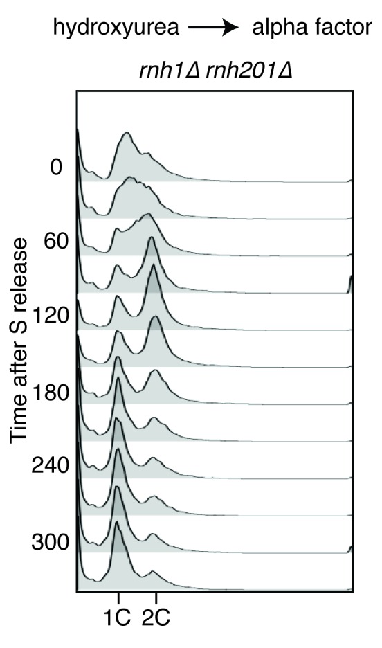 Figure 2—figure supplement 1.