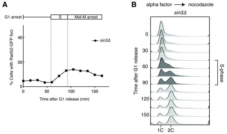 Figure 1—figure supplement 2.