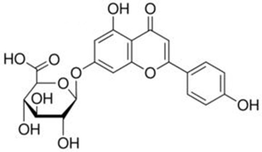 FIGURE 3