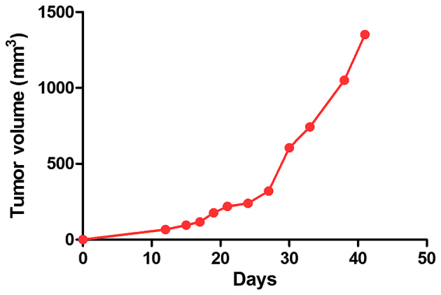 Figure 5.