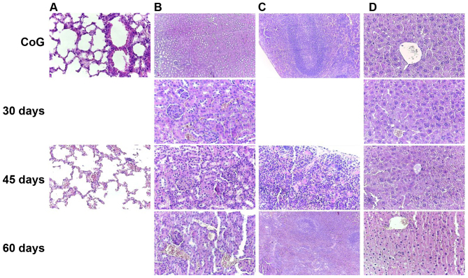 Figure 9.