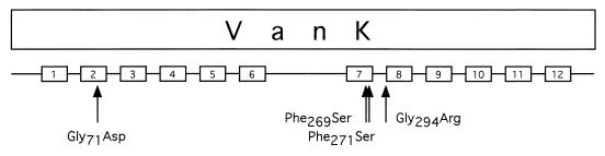 FIG. 7