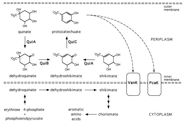 FIG. 5