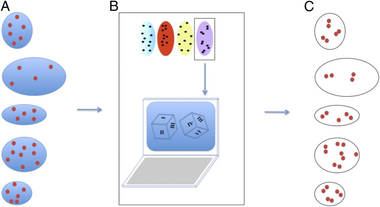 Fig. 7.