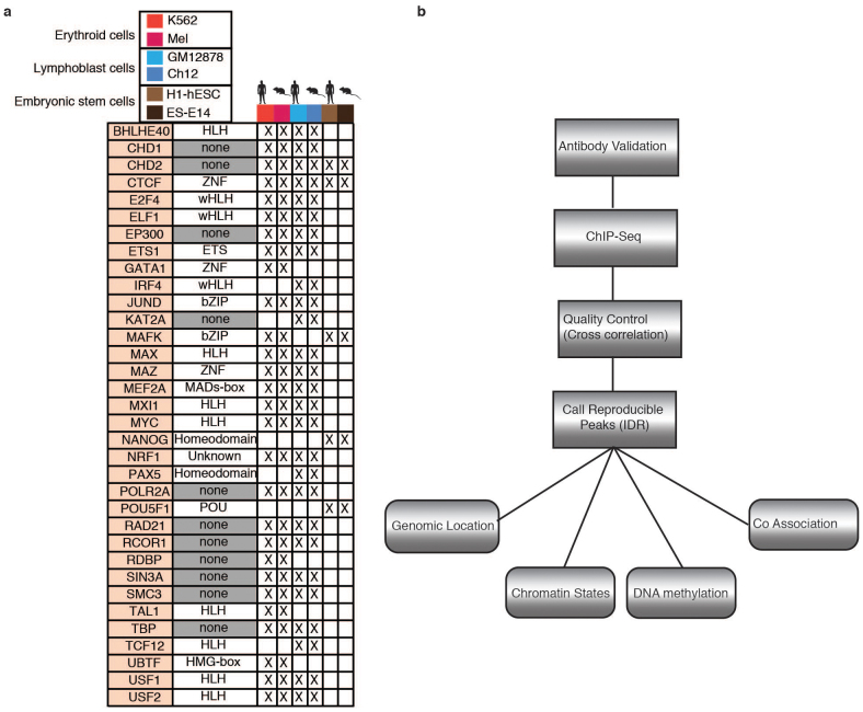 Extended Data Figure 1