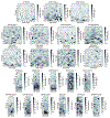 Extended Data Figure 4: