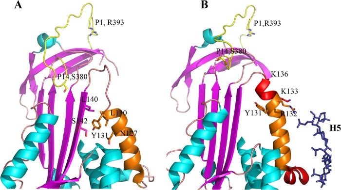 FIGURE 1.