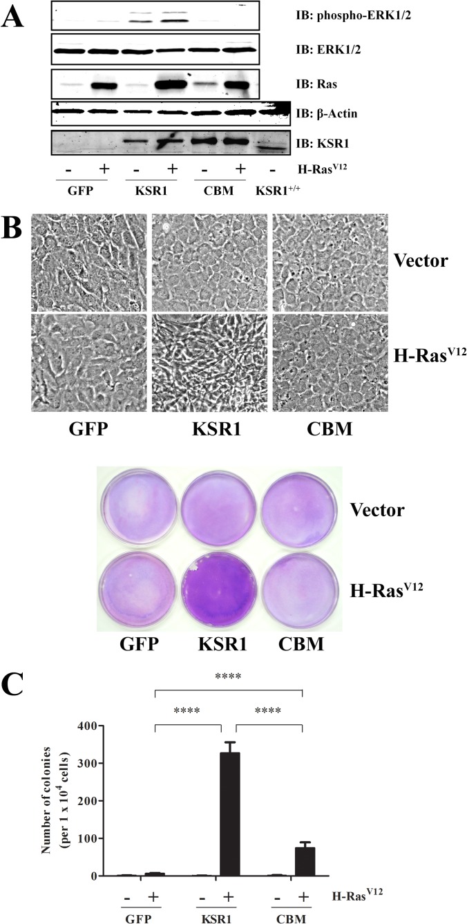 FIG 4