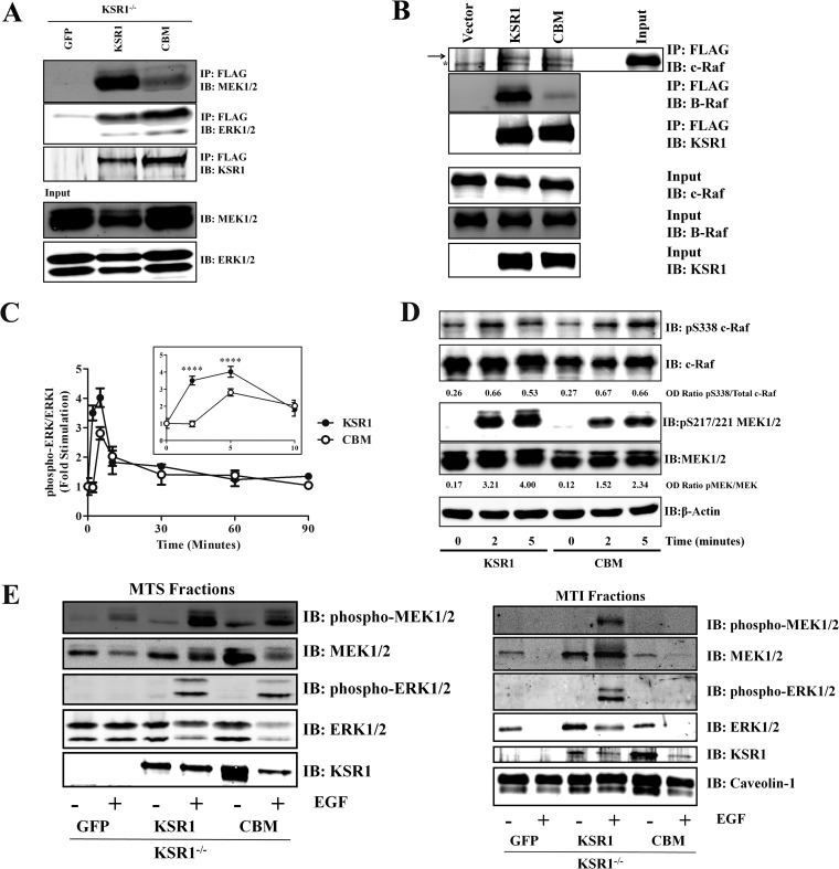 FIG 2