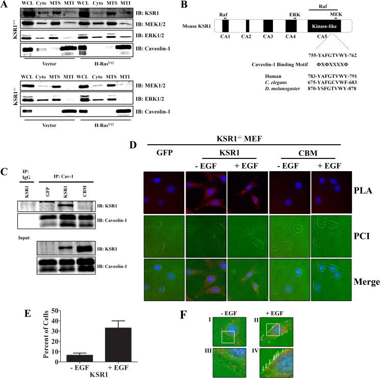 FIG 1