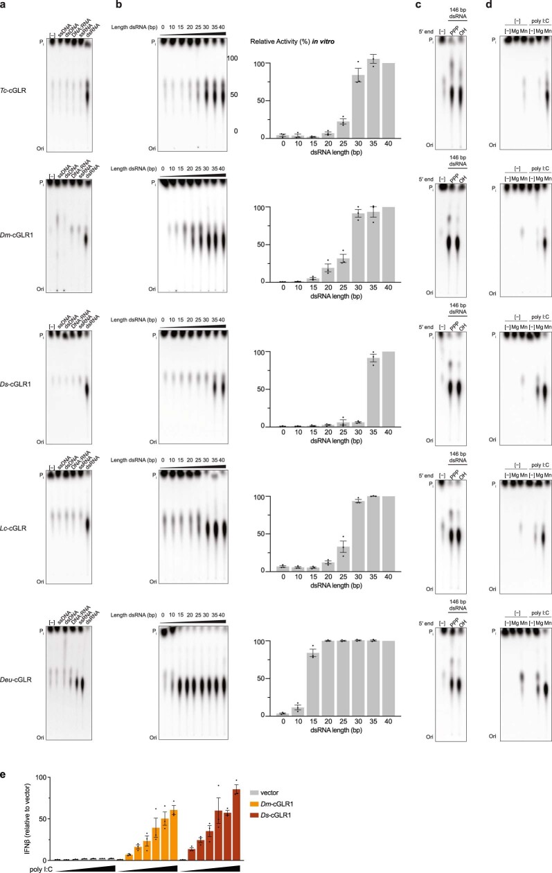 Extended Data Fig. 4