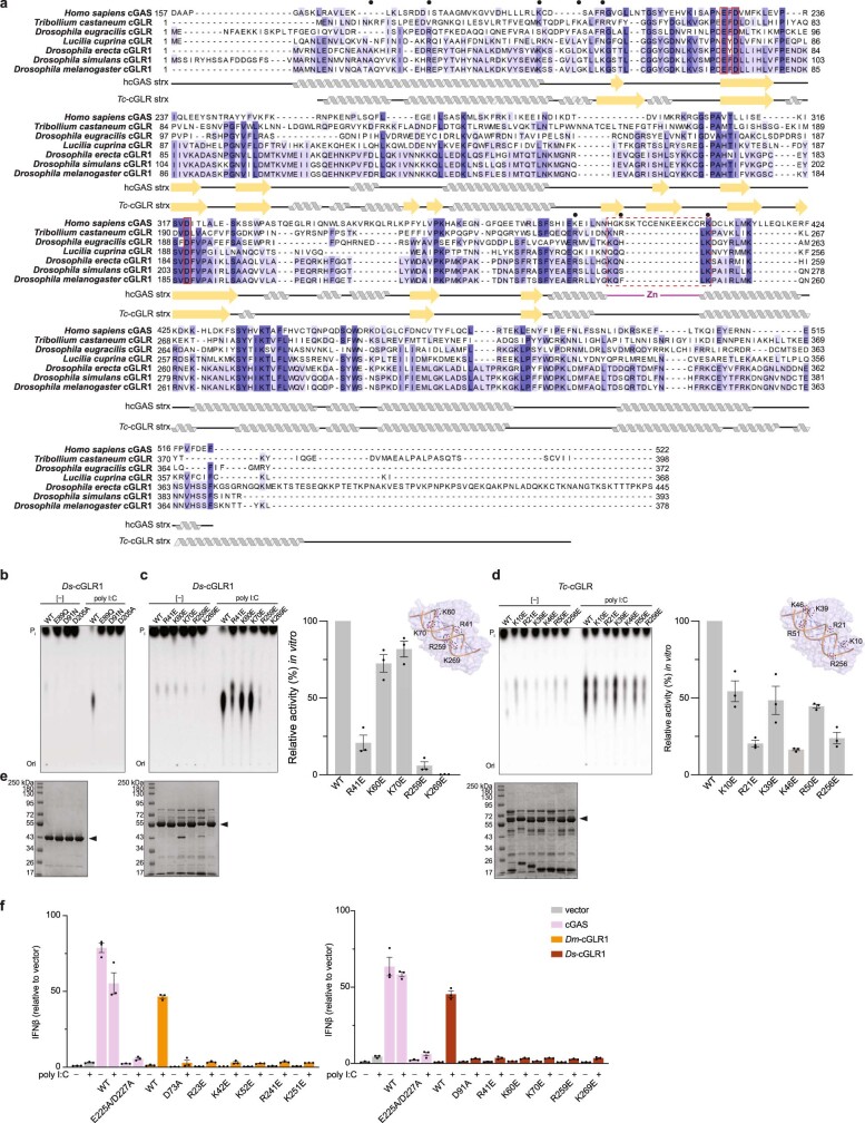 Extended Data Fig. 3