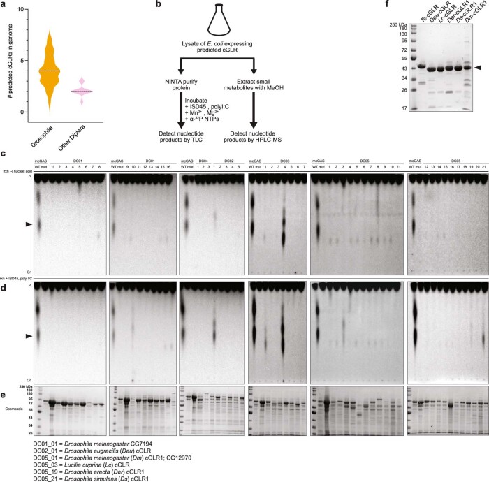 Extended Data Fig. 2