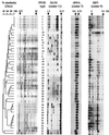 FIG. 1