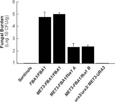 FIG. 6.