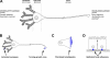 Fig. 1.