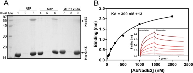 Figure 2.