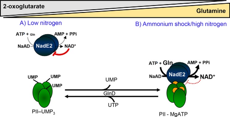 Figure 7.