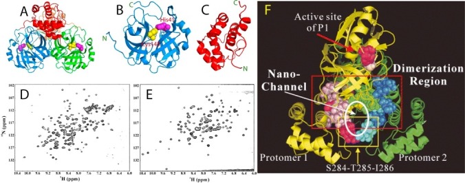 Fig. 2