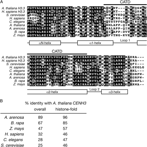 Figure 5.—