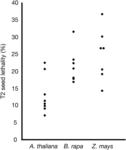 Figure 7.—